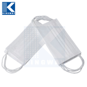Cleanroom Facemask