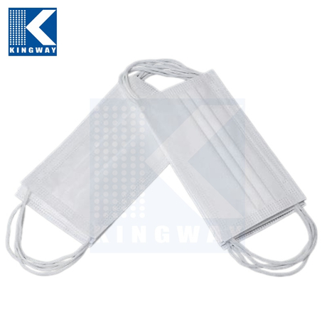 Cleanroom Facemask
